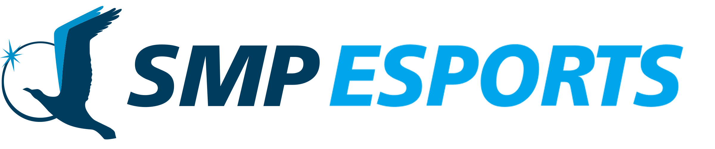 SMP TCR Russia - Трофей РАФ 2026